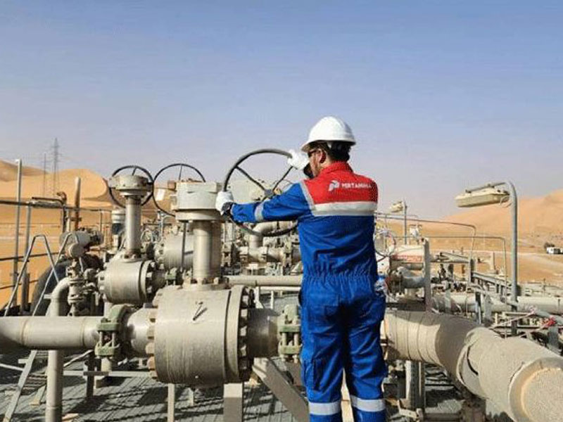 Cadangan Migas Raksasa Kembali Ditemukan di Riau dan Aceh